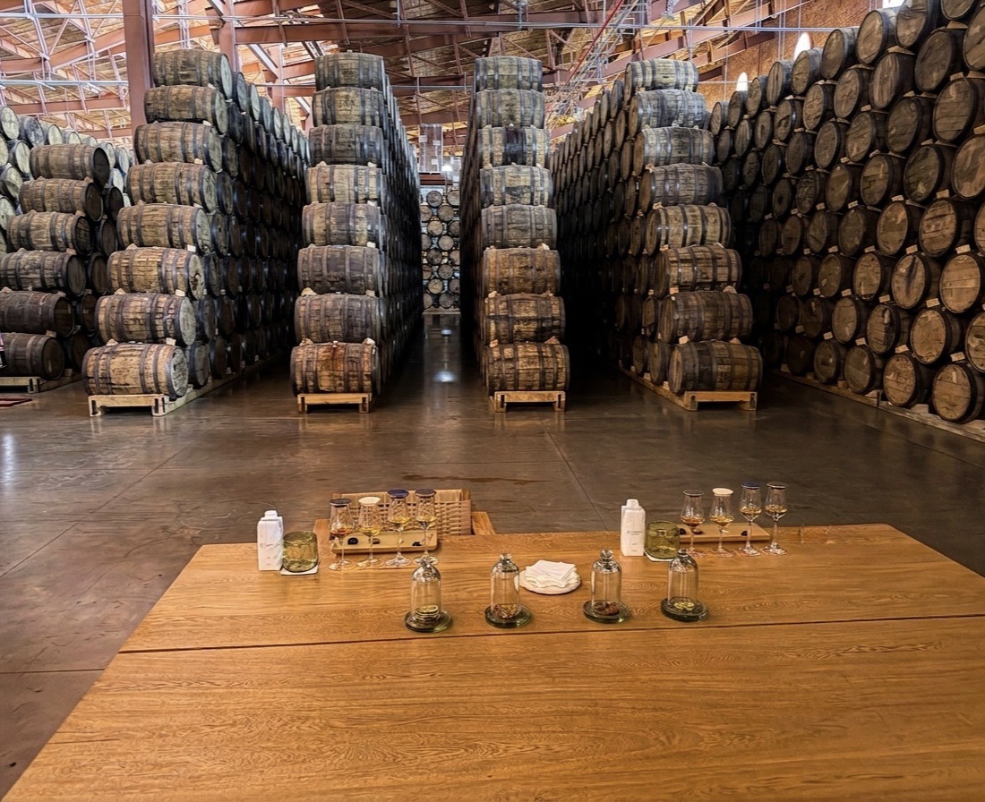 Oak barrel aging warehouse with a tasting table